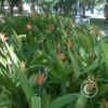 img00157_18773919724_o
