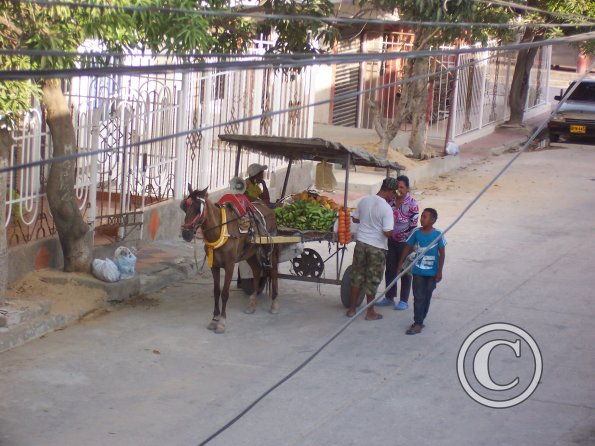 Fruit vendor 1