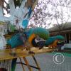 Exif_JPEG_420