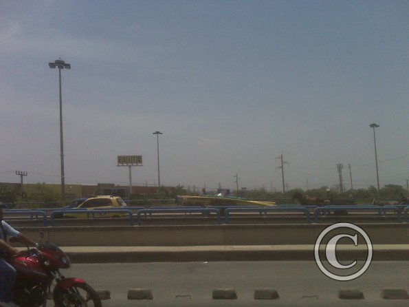 Two horse drawn wagons carrying stuff on the highway