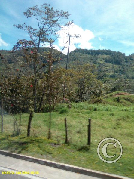 Exif_JPEG_420