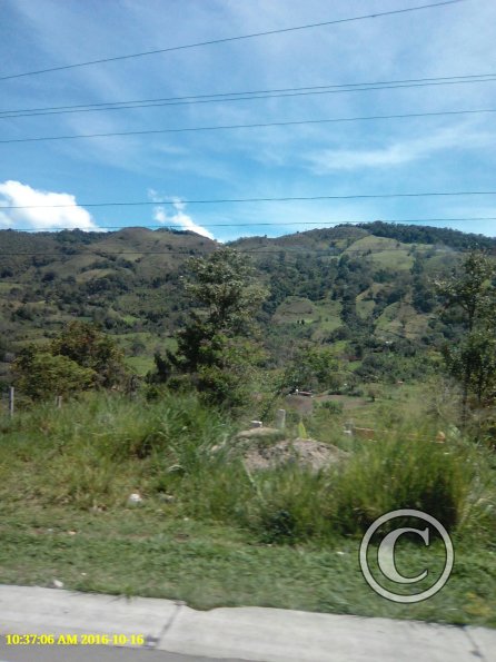 Exif_JPEG_420