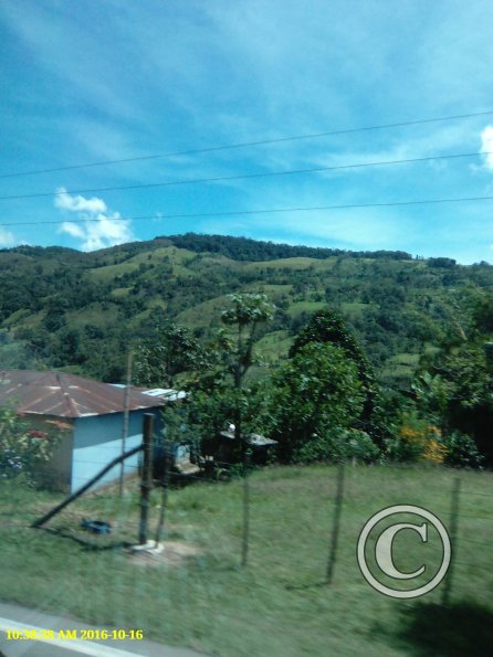 Exif_JPEG_420