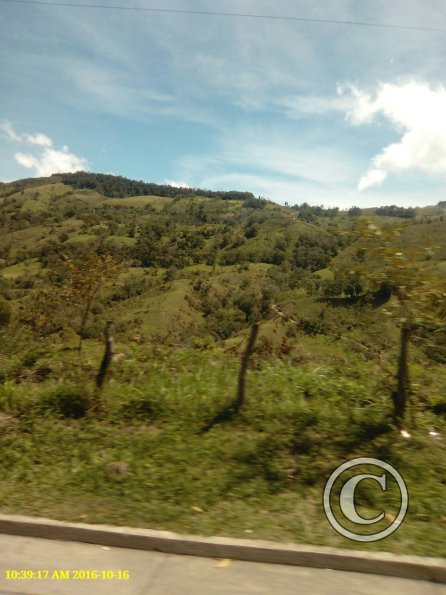 Exif_JPEG_420