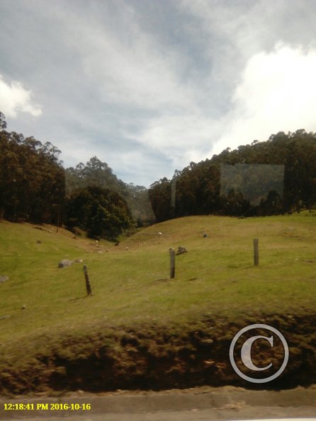 Exif_JPEG_420