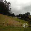 Exif_JPEG_420