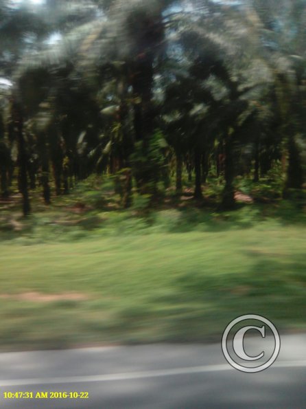 Exif_JPEG_420
