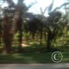 Exif_JPEG_420
