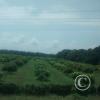 IMG_20161022_113557633