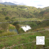 IMG_20211030_094106