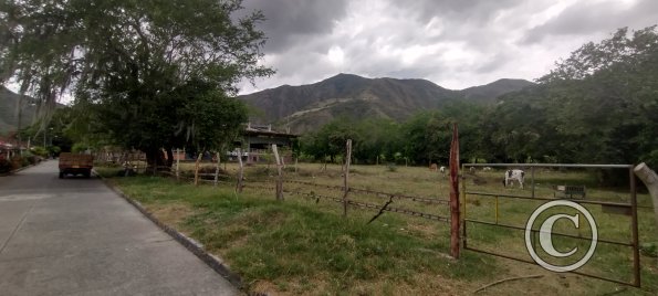 IMG_20231003_121427473_HDR