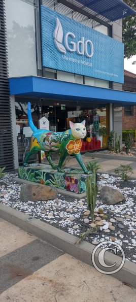IMG_20240301_163454516_HDR