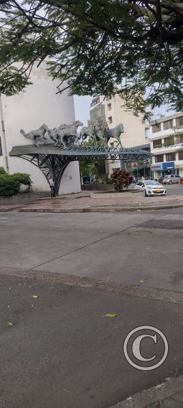 IMG_20240301_170418350_HDR