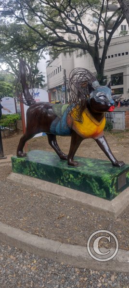 IMG_20240302_141207603_HDR