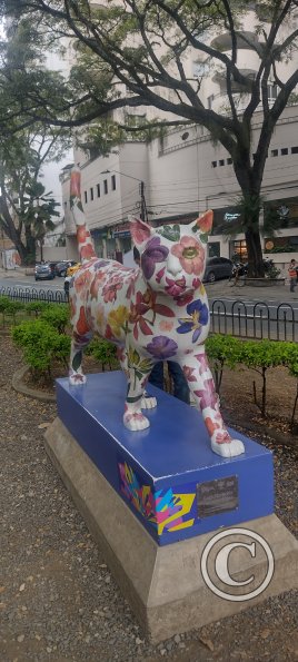 IMG_20240302_141220179_HDR