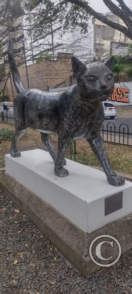 IMG_20240302_141528275_HDR