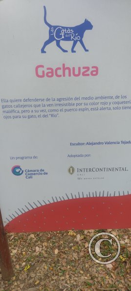 IMG_20240302_141913580