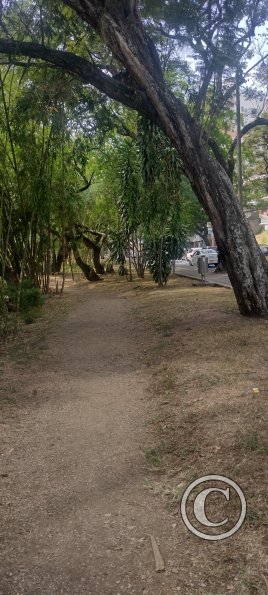 IMG_20240302_142944592_HDR