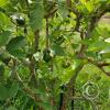 IMG-20220413-WA0015