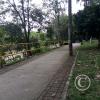IMG_20210326_104522