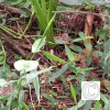 IMG_20210426_152721