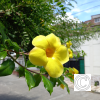 IMG_20210508_112530