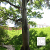IMG_20210508_115535