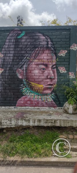 IMG_20231107_112231390_HDR
