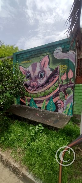 IMG_20231107_112349532_HDR