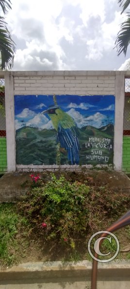 IMG_20231107_112406362_HDR
