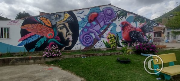 IMG_20231107_115534309_HDR