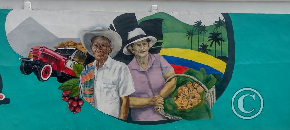 IMG_20231107_121358661_HDR