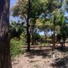 Parque Arkabal at Carrera 4a N and Calle 17c (2)