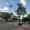 Parque Castaneda at Carrera 6 and Calle 11 (2)