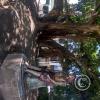 Parque Mitológico at Carrera 4 and Calle 17 (7)