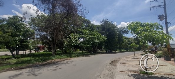 Parque Villa Catalina at Transversal 12