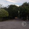 Transversal 7a AN