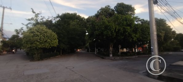 Transversal 7a AN