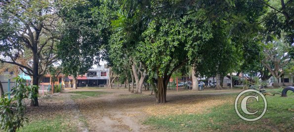 Parque Minuto de Dios from Carrera 4b (2)