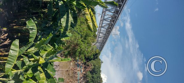 Looking up to the railroad bridge