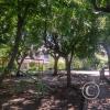 Parque at Calle 34 and Diagonal 8a
