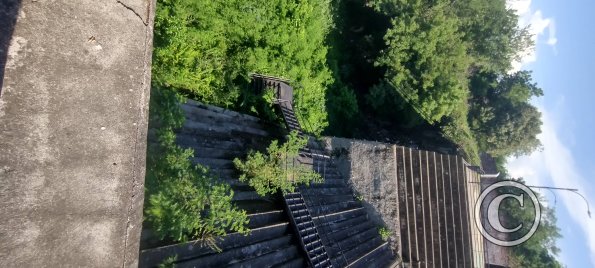 Stairs down and swallowed by the jungle