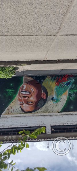 Mural on Calle 11 at San Luis-Guamo (5)