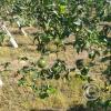 IMG-20220719-WA0005