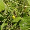 IMG-20220816-WA0006