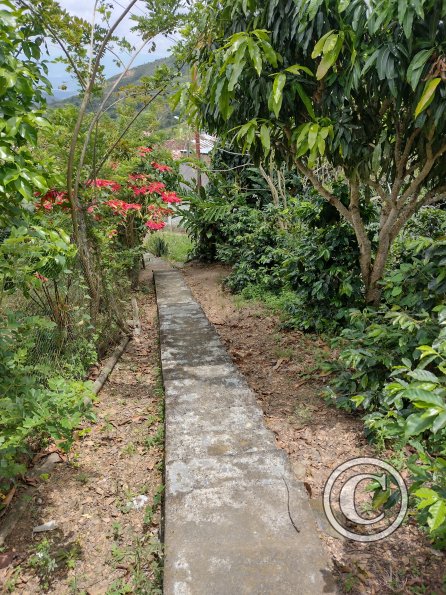 IMG_20221005_115129156_HDR
