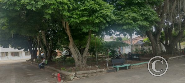 IMG_20231115_110256725_HDR