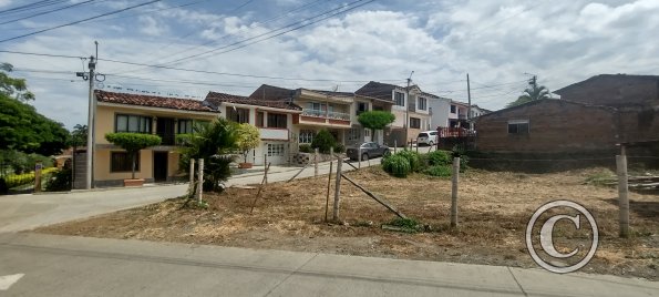 IMG_20231115_113929159_HDR