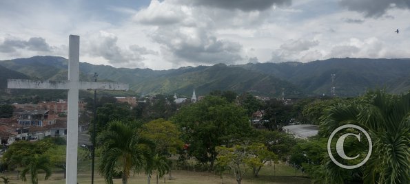IMG_20231115_123658135_HDR