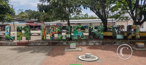 IMG_20251004_113742779_HDR